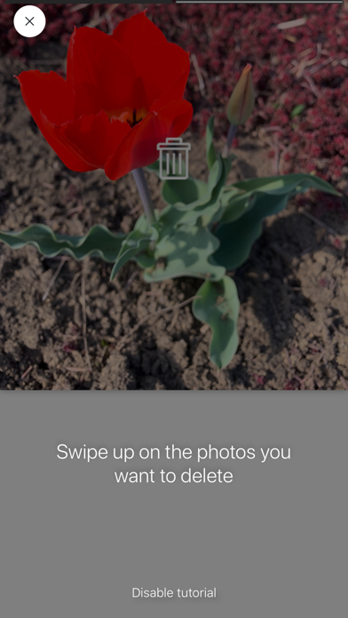 PicDot iPhone screenshot 7 - Photo & Video app