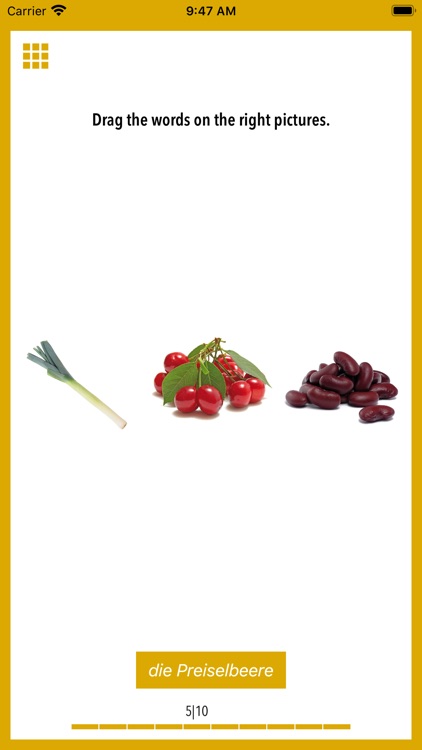 Picture Dictionary German screenshot-3