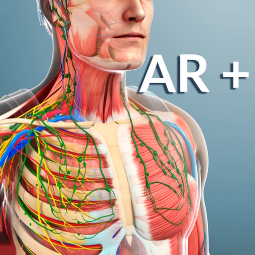AR Human Anatomy Download