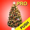 Greg Morris - Christmas Countdown Pro Push アートワーク