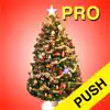 Christmas Countdown Pro Push delete, cancel