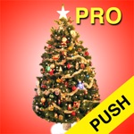 Download Christmas Countdown Pro Push app