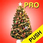 Christmas Countdown Pro Push App Problems