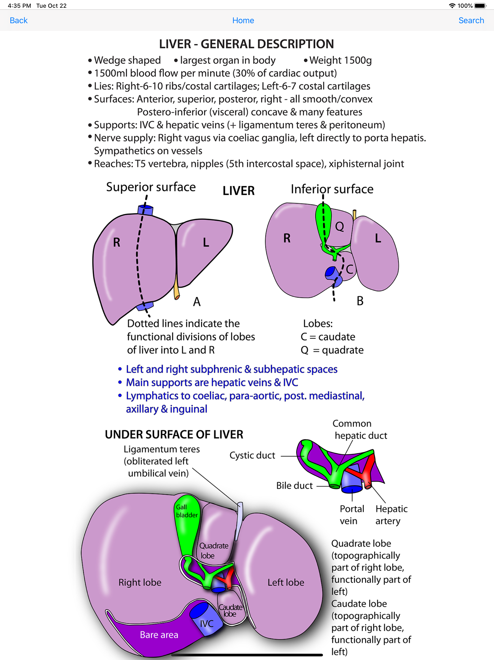 Instant Anatomy Flash Cards