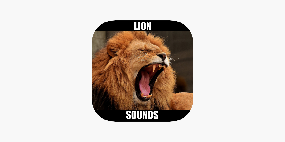 Lion Sounds - Lion Roaring on the App Store