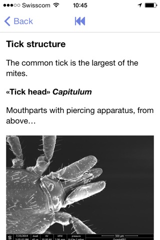 Zecke - Tick Preventionのおすすめ画像5