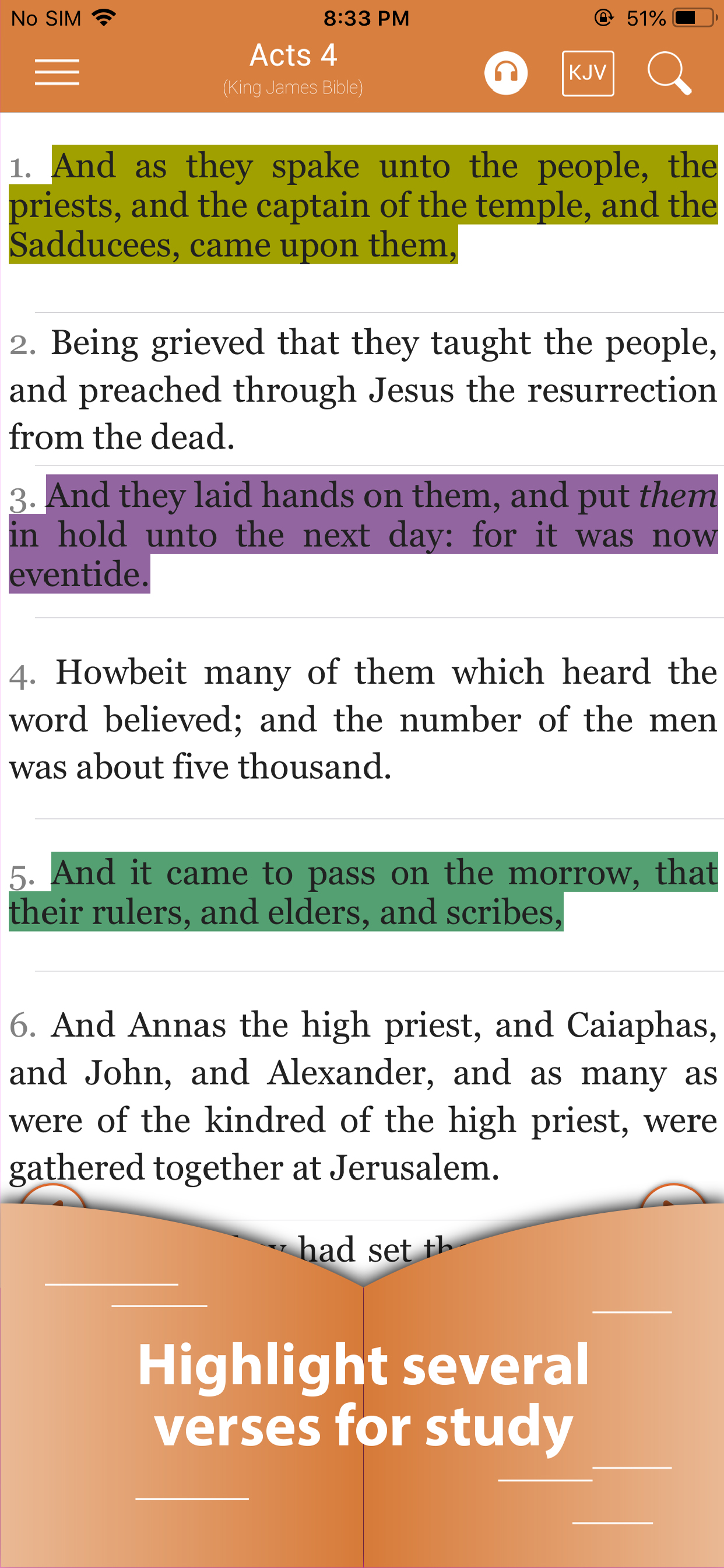 Bible ·· screenshot 8