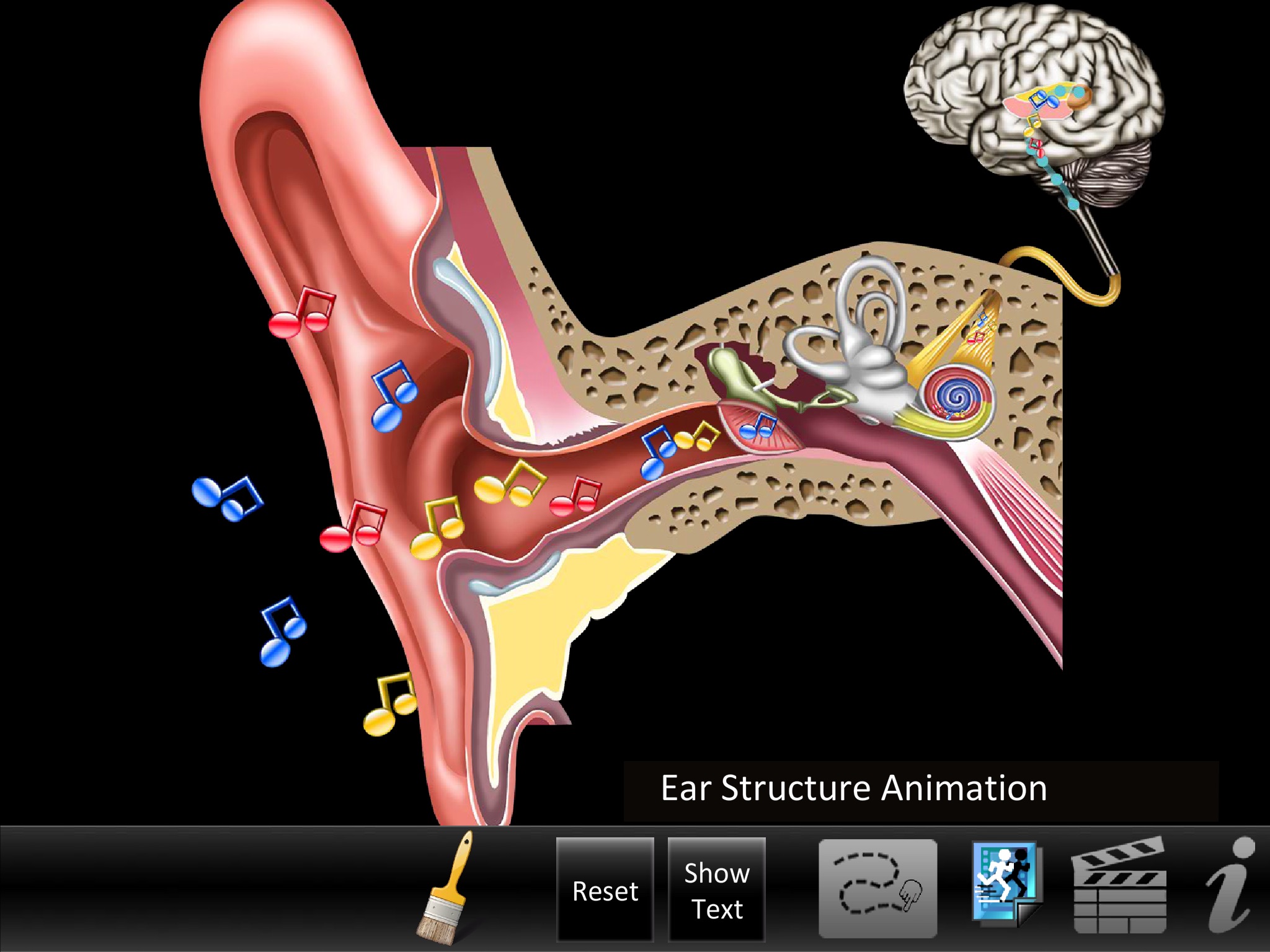 Ear ID screenshot 2