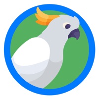 Parrot Poll: learning to speak