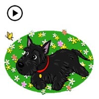 Animated Adorable Scottie Dog app icon - Stickers app for iPhone