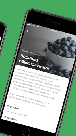 Game screenshot Заповедная Якутия 2.0 apk