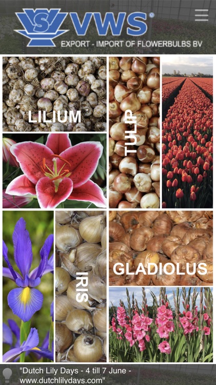 Flower Bulb Pics and Info