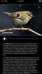 Bird Song/Photo Identification screenshot