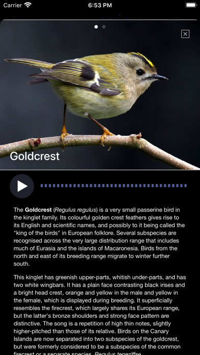 Bird Song/Photo Identification Screenshot