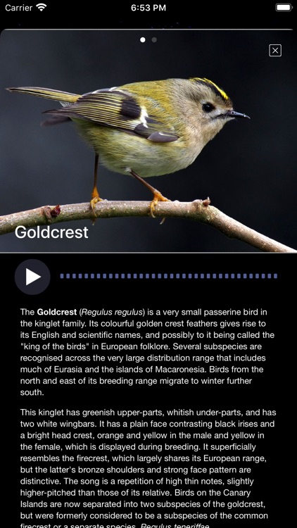 Bird Song/Photo Identification screenshot-6