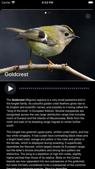Bird Song/Photo Identification iPhone-skjermbilde 7