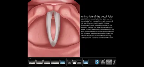 Vocal Pathology: Reflux