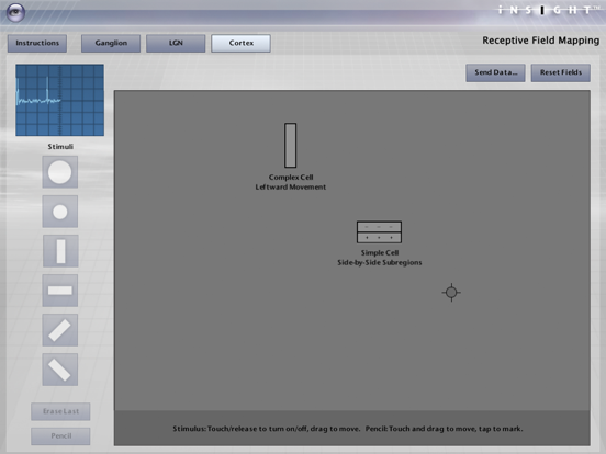 Screenshot #6 pour iNSIGHT Receptive Field Maps