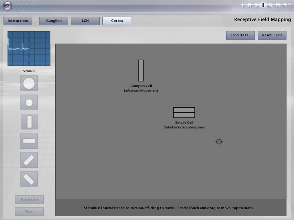 #3. iNSIGHT Receptive Field Maps (iOS) Ved: Polyhedron Learning Media, Inc.