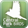 Audubon Birds of Central Park
