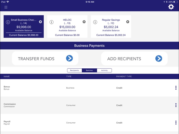 Blue Sky Business for iPad screenshot-3