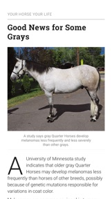 Horse&Rider USA screenshot