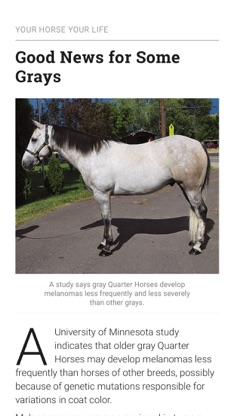 Horse&Rider USA screenshot 5