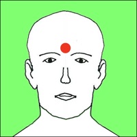 Treat Yourself - Acupressure pour PC