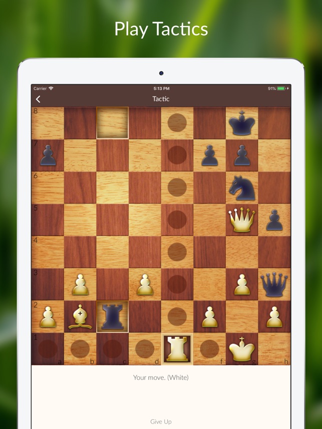 Chess Game for Mac - GreenChess App Free Download