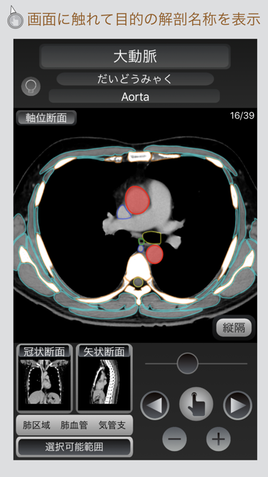 CT Passport 胸部スクリーンショット