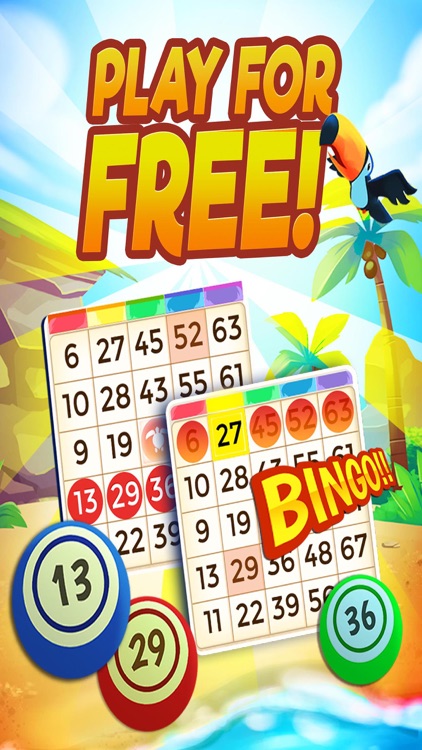 Bingo Bingo