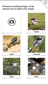 Birds of Britain Pro screenshot