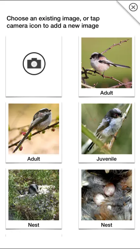 Birds of Britain Pro screenshot 10 of 10