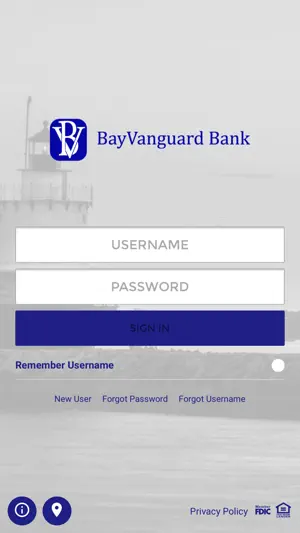 BayVanguard Bank screenshot 1