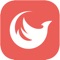 Приложение предназначено для удобного просмотра контента Phoenix media
