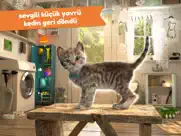 minik kedicik - maceralar 4+ ipad resimleri 1