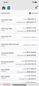 Bank of Grand Lake Biz screenshot #4 for iPhone