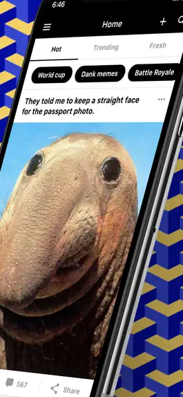 Game screenshot 9GAG: Best LOL Pics & GIFs apk