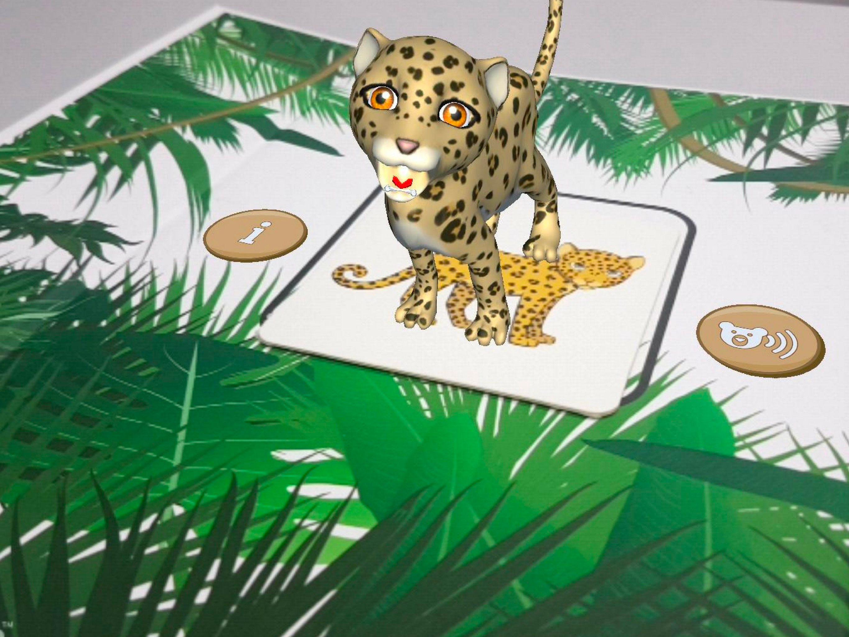 BIMBOX-Friends from the Jungle
