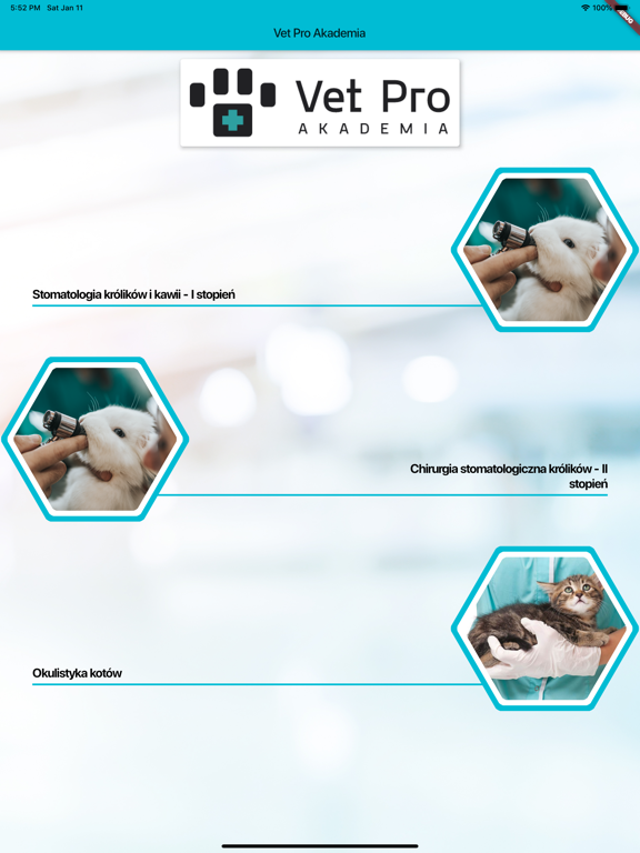 Screenshot #4 pour Vet Pro Akademia