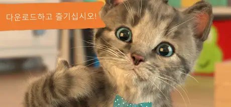 내가 가장 좋아하는 - 아기 고양이
