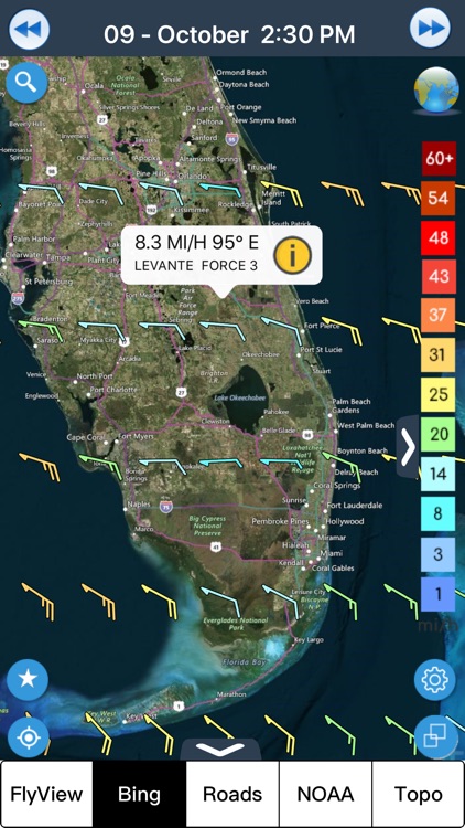 Wind forecast for Windgurus