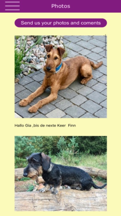 The Purple Dog screenshot-5