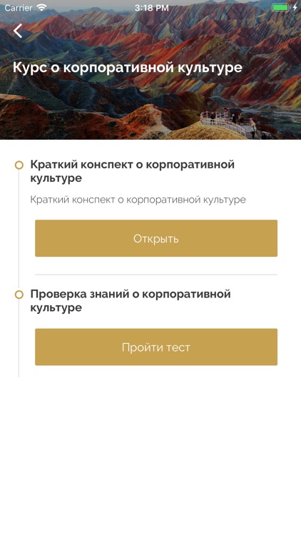 Академия «Lidskae»