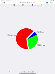visual budget айпад изображения 2