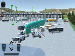 Flight 737 - Maximum screenshot 16