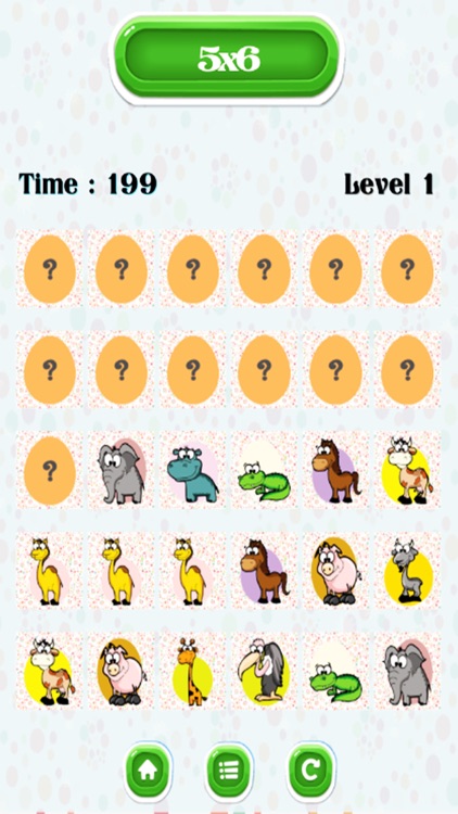 Fun Quiz Animals