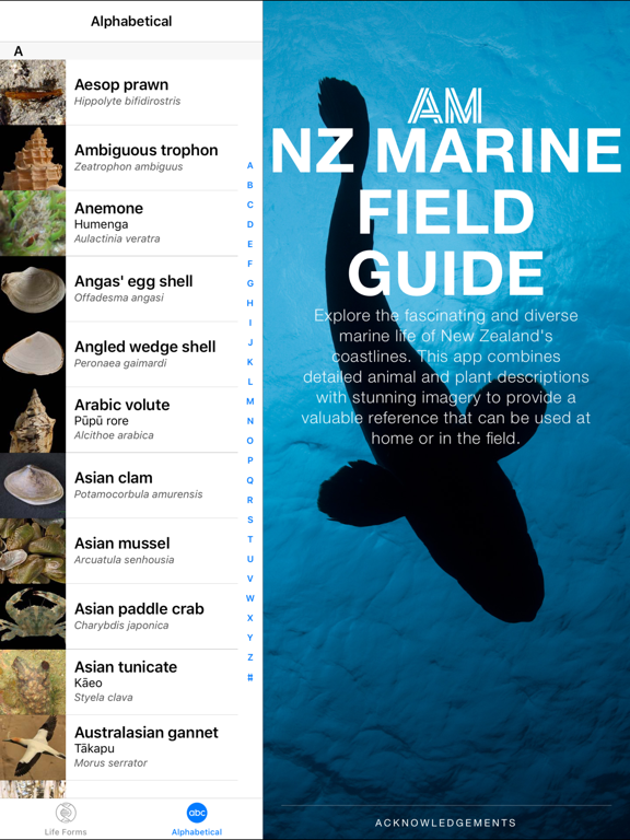 Screenshot #4 pour New Zealand Marine Life