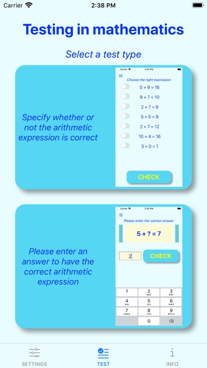 TestingOfMathematicalKnowledge