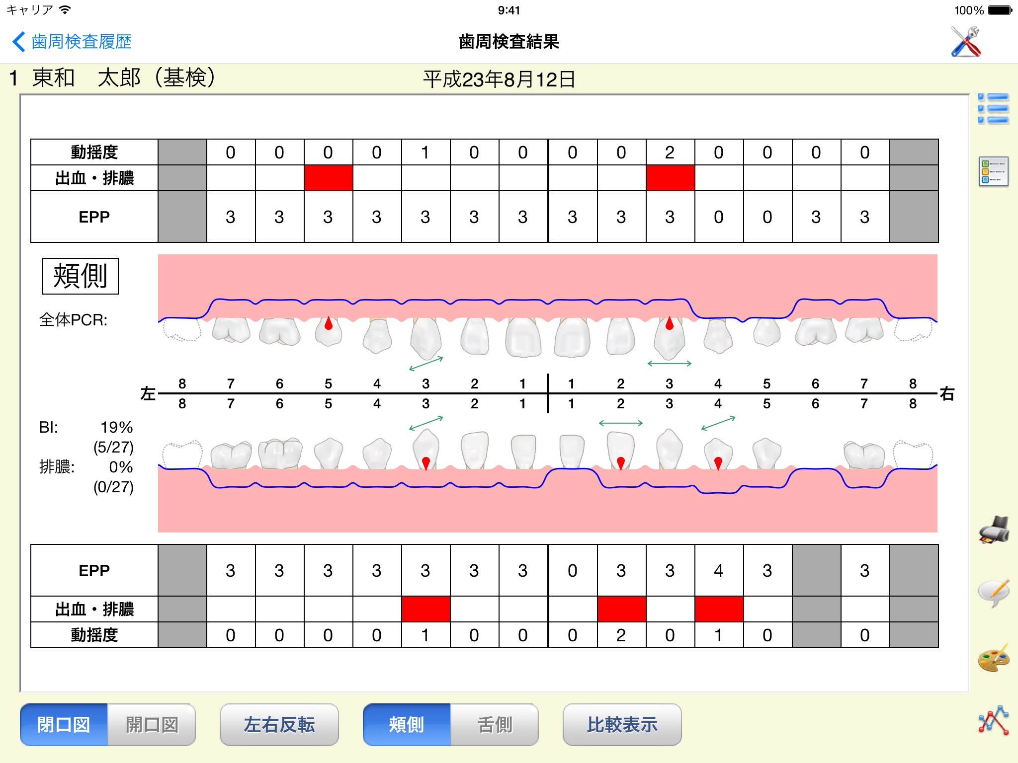 i-DS検査 screenshot 3
